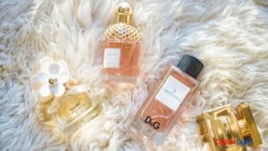best perfumes